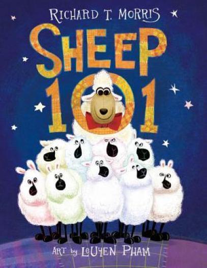 sheep101