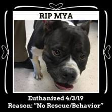 RIP Mya