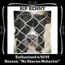 RIP Renny